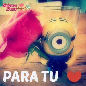 imagenes chidas de amor para descargar gratis