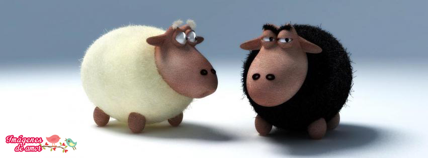 portada facebook ovejas
