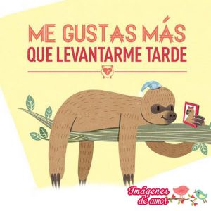 que seria de mi