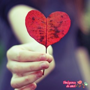 te amo corazon