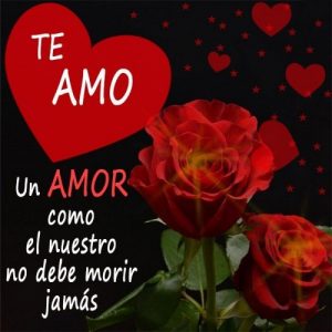 te amo mi amor