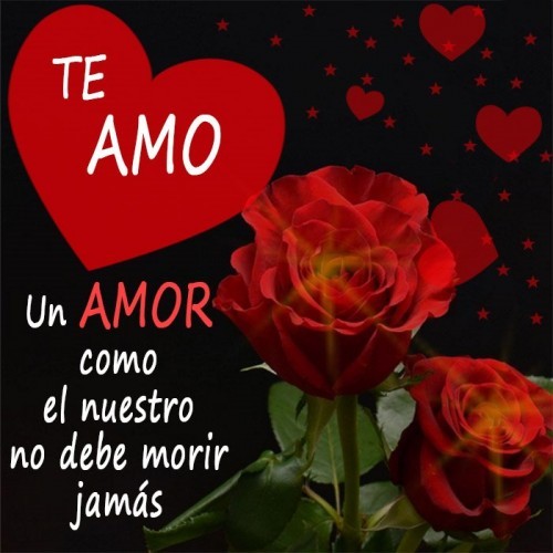 te amo mi amor