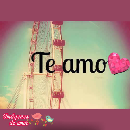 te amo mi amor