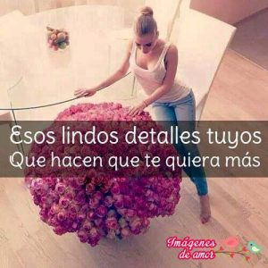 tus detalles