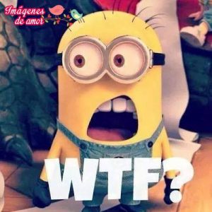wtf
