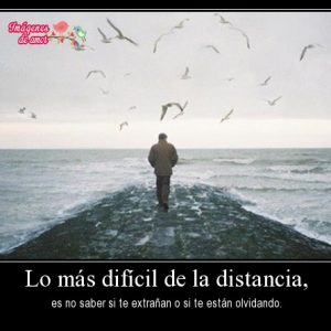 amor a distancia 19
