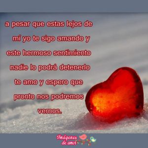 amor a distancia 4