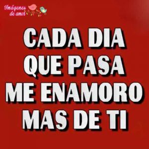 me enamoras cada dia
