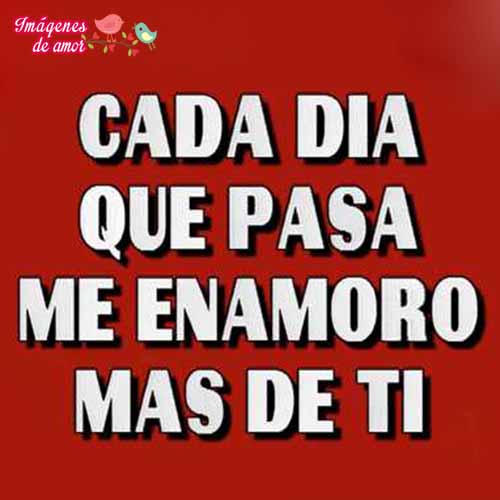cada-dia-q-pasa