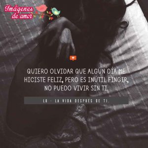 desamor14
