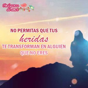 desamor19