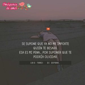 desamor5