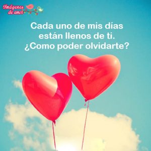 imagen de amor 4