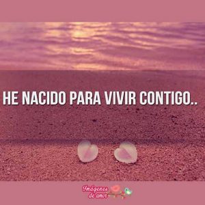imagen de amor 5
