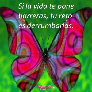 imagenes parara facebook 5