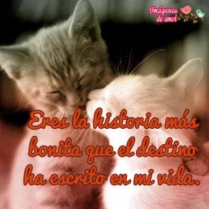 imagenes de amor 12