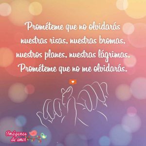 imagenes de amor 12