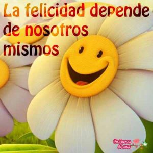 magenes de felicidad 8
