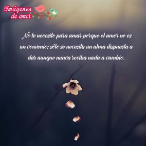 imagenes desamor34