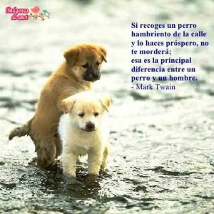 imagenes para fotos de facebook