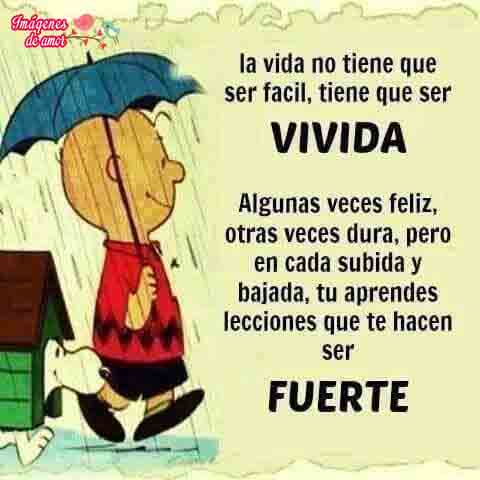 imagenes para facebook 6