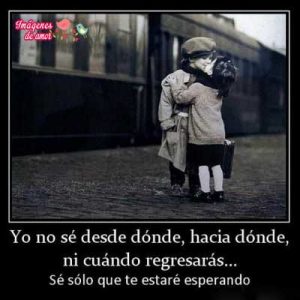 imagenes tiernas 1