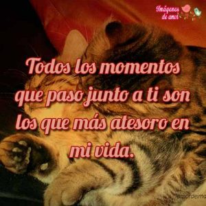 imagenes tiernas 19