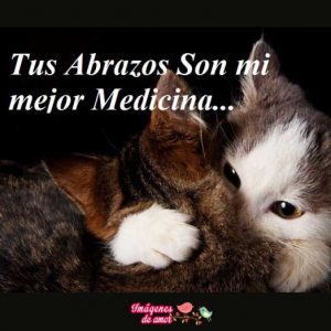 imagenes tiernas 6