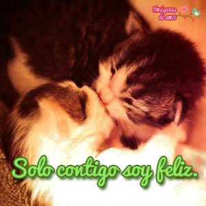 imagenes tiernas 8