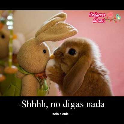 imagenes-tiernas-animales-2