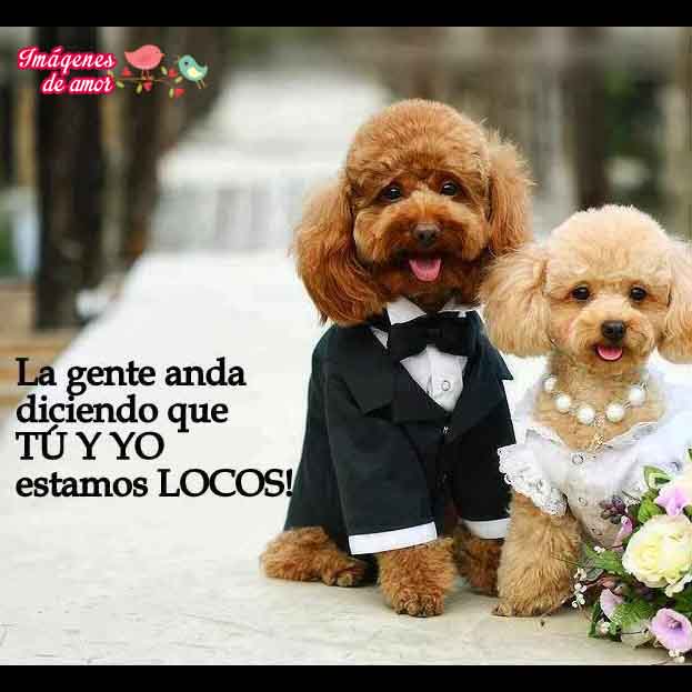 imagenes-tiernas-animales-8