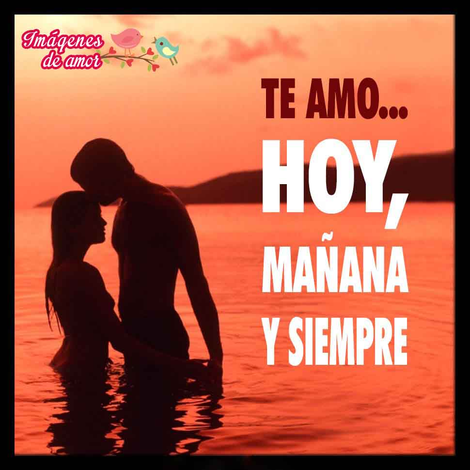 te amo hoy