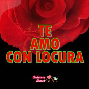 te amo y siempre te amare 10