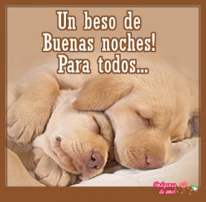 imagenes de buenas noches 14