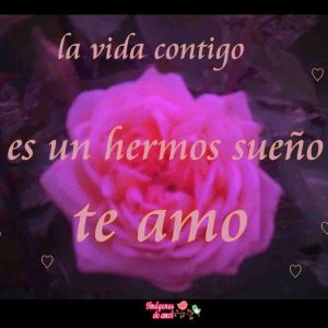 imagenes de amor 1