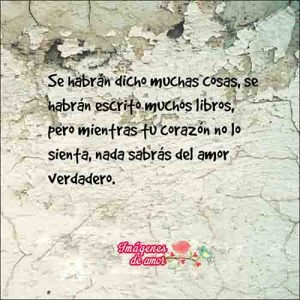 imagenes de amor 17