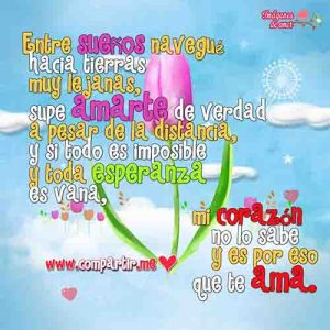 imagenes de amor 2