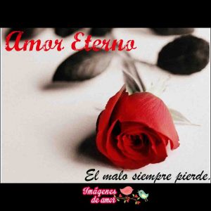 imagenes de amor 4