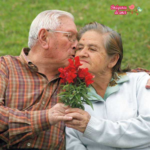 amor-ancianos
