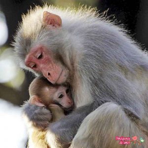 fotografias de amor 20
