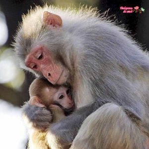 fotografias de amor 13