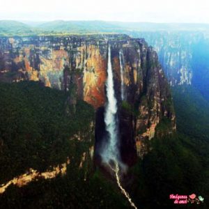 imagenes up