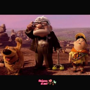 imagenes up 19