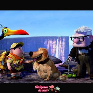 imagenes up 20