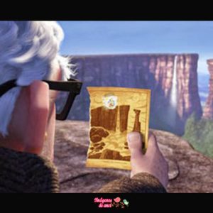 imagenes up 21