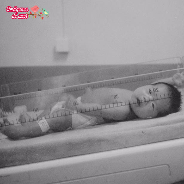 la-llegada-de-mi-amor