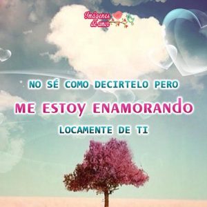 me estoy enamorando de ti 16