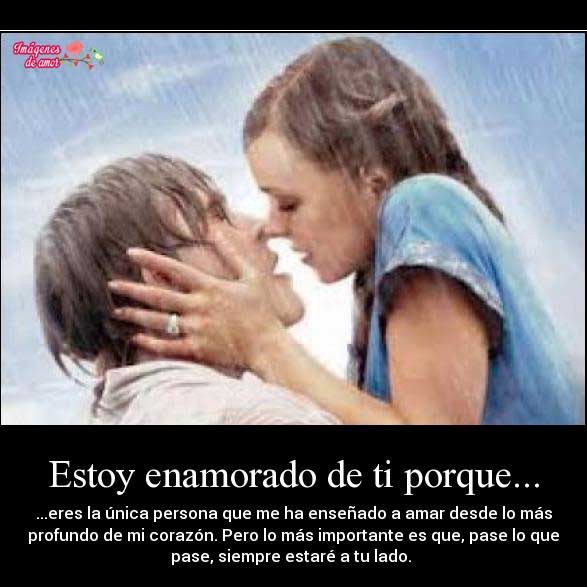 imagenes de amor me estoy enamorando de ti