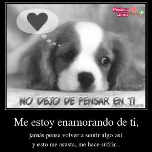 me estoy enamorando de ti 3